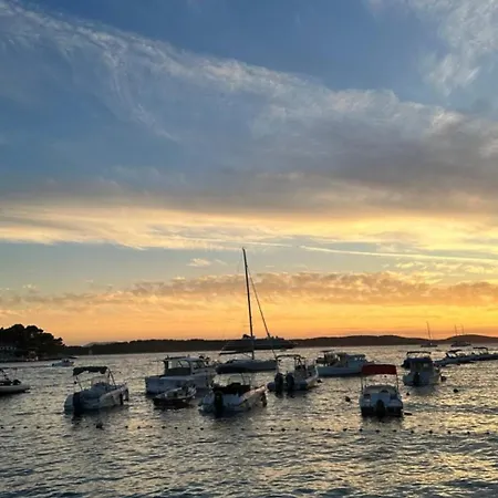 Hvar 別荘 *
